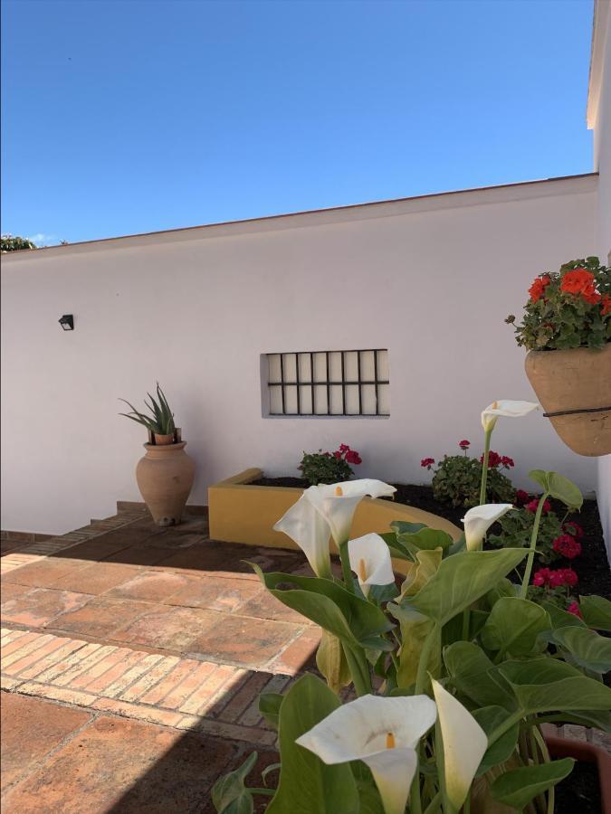Encantador Apartamento-céntrico-con Amplio Jardín *